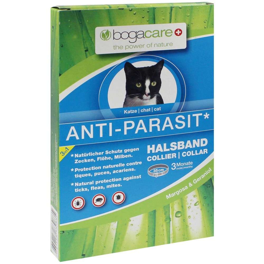 collier anti parasites pour chat