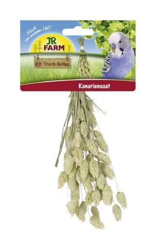 Birds Kanariensaat von JR Farm 20 g online günstig kaufen