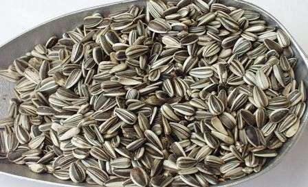Versele Laga Sonnenblumenkerne gestreift 12.5 kg