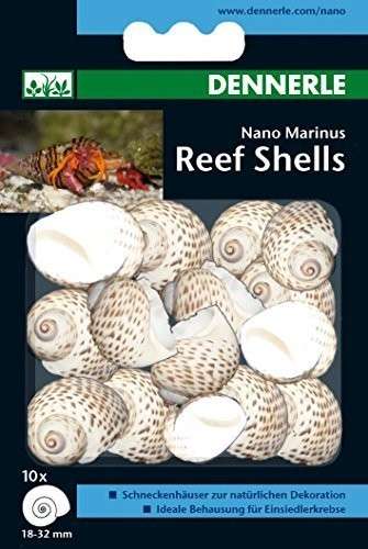 Dennerle Nano Marinus Reef Shells met korting aantrekkelijk en goedkoop kopen