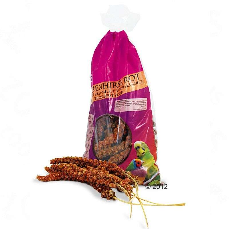 Kolbenhirse Rot von JR Farm 75 g, 500 g, 250 g online günstig kaufen
