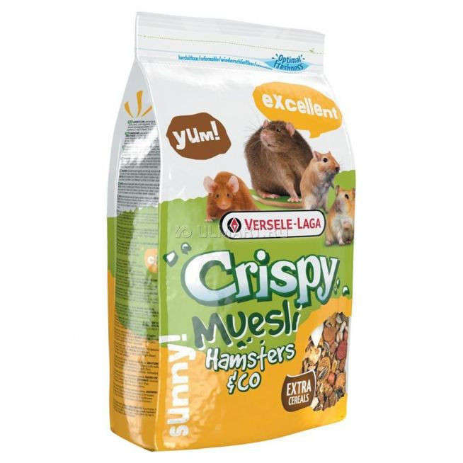 Crispy Muesli - Hamster & Co by Versele Laga 20 kg, 1 kg buy online