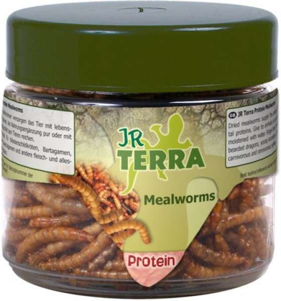 Terra Mealworm 20 g von JR Farm online günstig kaufen
