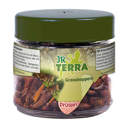 Protein Grasshoppers 15 g från JR Farm köp billiga på nätet