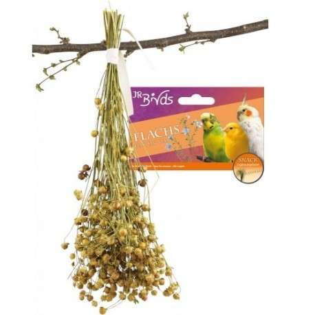 Birds Leinsaat Flachs von JR Farm 30 g online günstig kaufen