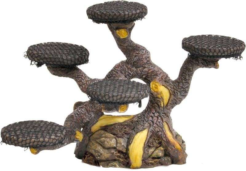 Dennerle Bonsai Tree met korting aantrekkelijk en goedkoop kopen