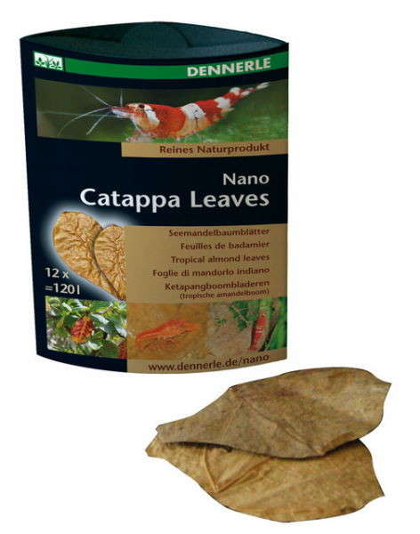 Dennerle Nano catappa leaves met korting aantrekkelijk en goedkoop kopen