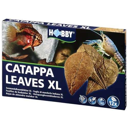 Hobby Catappa Leaves XL, 12 st. met korting aantrekkelijk en goedkoop kopen