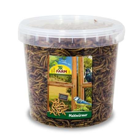 JR Farm Wildvogel Mehlwürmer 400 g