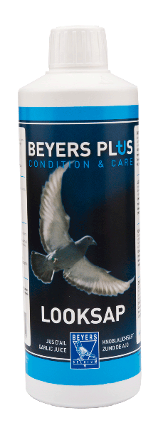 Beyers Belgium Knoblauch Saft 400 ml Compre a bom preço com desconto