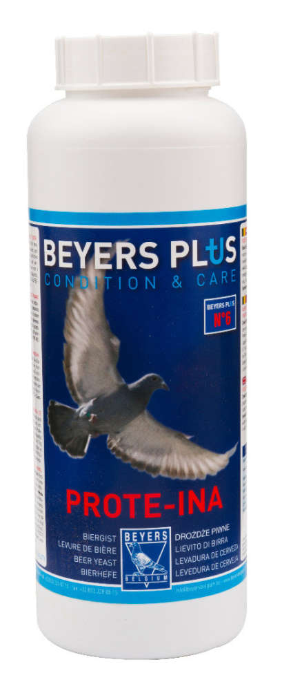 Beyers Belgium Prote-Ina Levadura de cerveja 450 ml Compre a bom preço com desconto