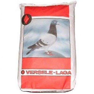 Versele Laga Viúvo Forro Leste 20 kg Compre a bom preço com desconto