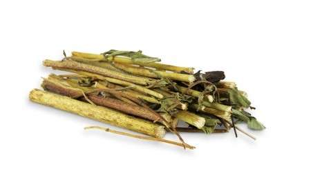Topinambur - Stäbchen von JR Farm 30 g online günstig kaufen