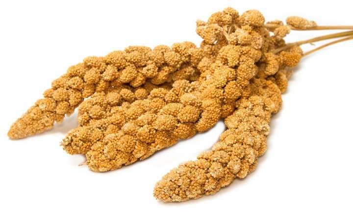 Moreau French Yellow, Mohar 15 kg kjøp billig med rabatt