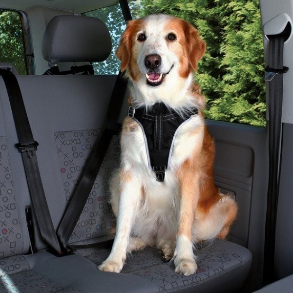 Trixie Auto-Tuig Dog Comfort XL Zwart met korting aantrekkelijk en goedkoop kopen