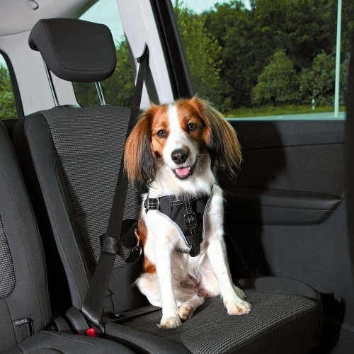 Trixie Auto-Tuig Dog Comfort M Zwart met korting aantrekkelijk en goedkoop kopen