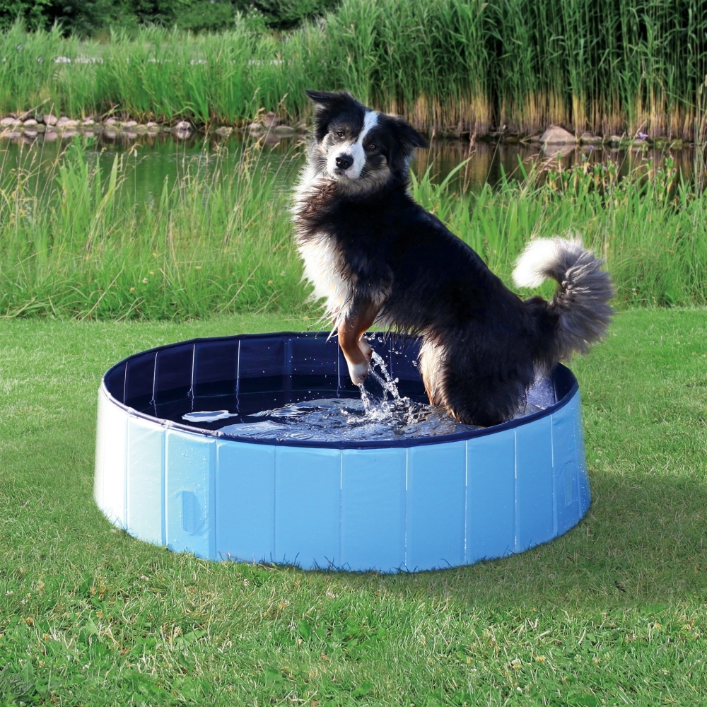 Hundepool 120x30 cm von Trixie online günstig kaufen