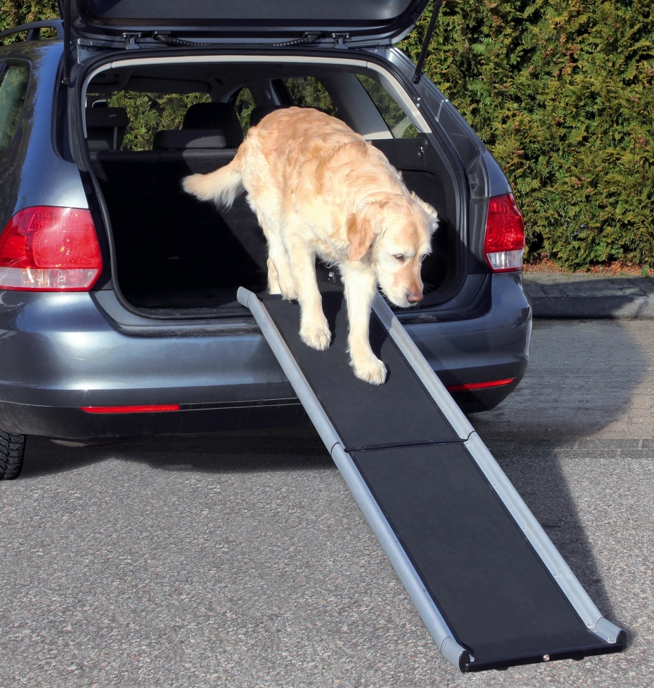 Trixie Loopplank Petwalk, inklapbaar 38x155 cm met korting aantrekkelijk en goedkoop kopen
