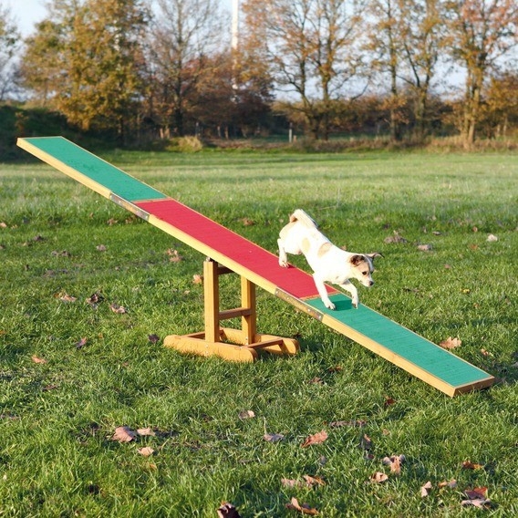 Dog Activity Agility Seesaw 300x54x34 cm af Trixie køb rimeligt og favoribelt med rabat