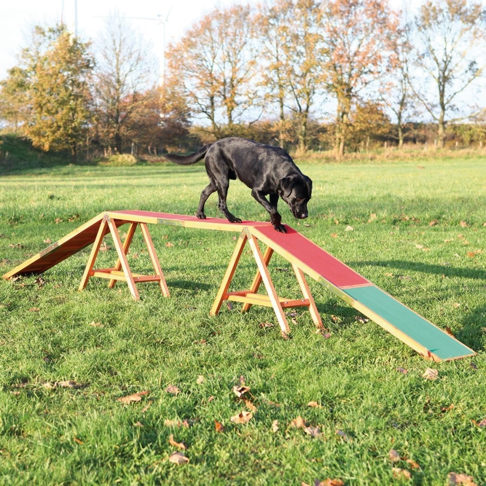 Trixie Dog Activity Agility Kattenloop 456x64x30 cm met korting aantrekkelijk en goedkoop kopen