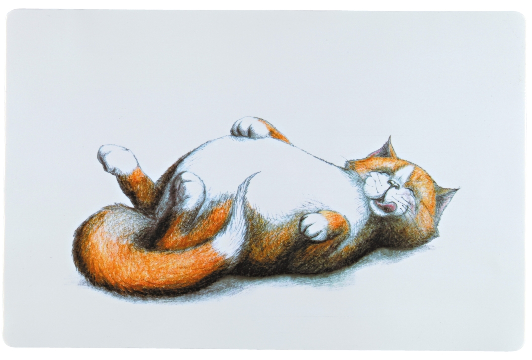 Trixie Salvamanteles para Gatos 44x28 cm