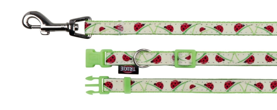 Trixie Halsband met Riem Glow in the Dark Lichtgroen 22-33x1 cm met korting aantrekkelijk en goedkoop kopen