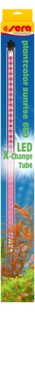 Sera LED X-Change Tube Plantcolor Sunrise 66 cm met korting aantrekkelijk en goedkoop kopen