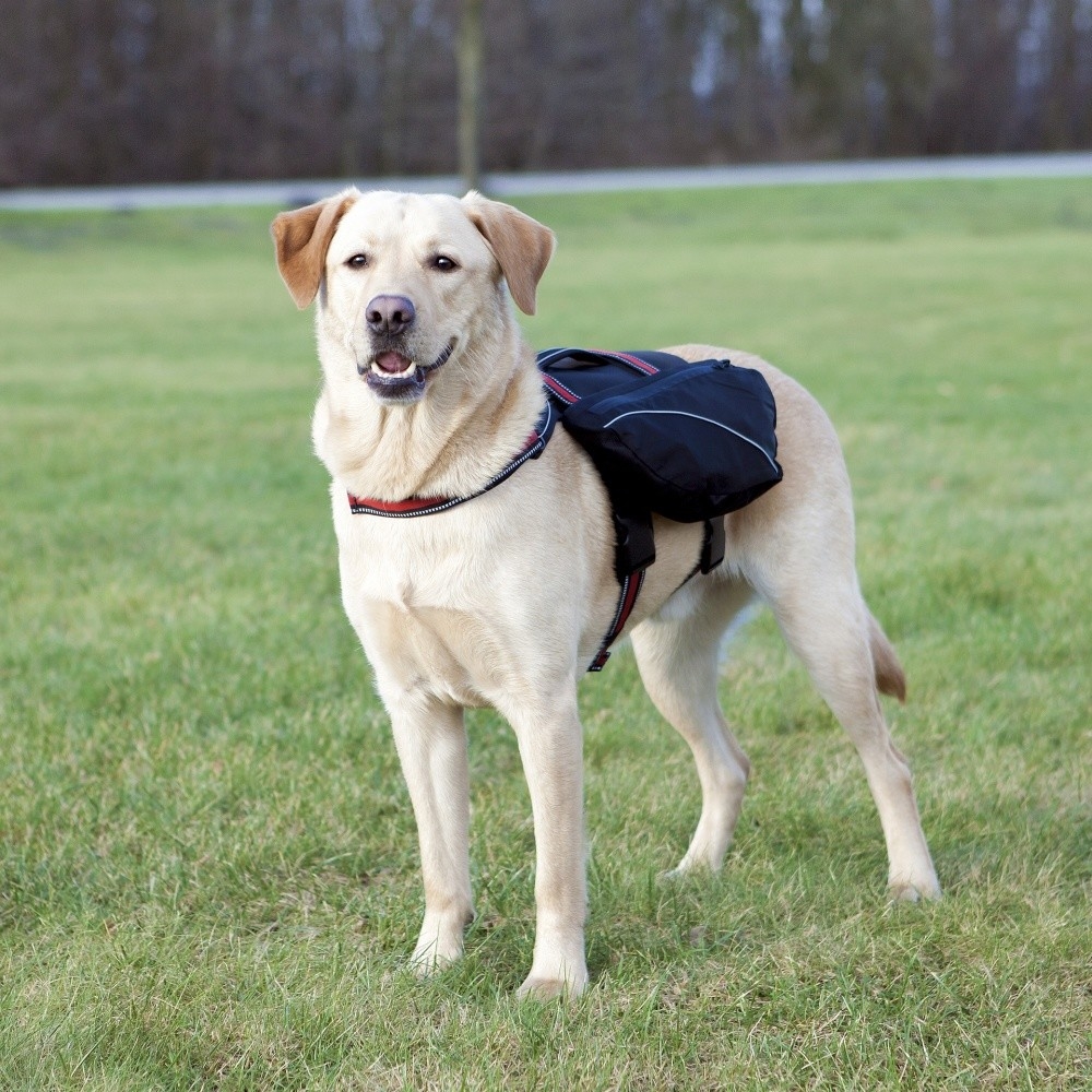Trixie Rugtas voor Honden 31x17 cm met korting aantrekkelijk en goedkoop kopen