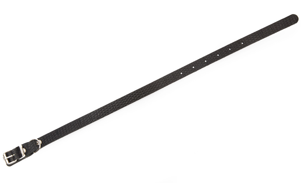 Coleira de Couro cmn Desenho de Reptil, S Preto 28-38x1.4 cm da Bark&Bones Compre a bom preço com desconto